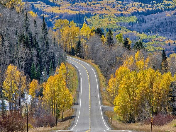 Colorado An empty Colorado highway 145 in midday surrounded by fall color near Telluride-Colorado